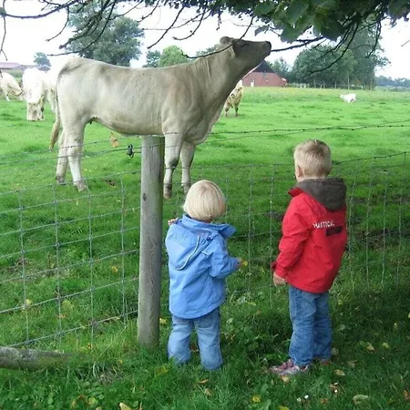 Tillmann Comfortable Burhave