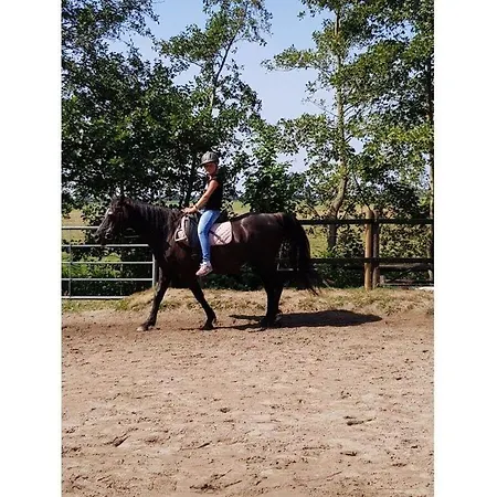 Tillmann Comfortable * Burhave