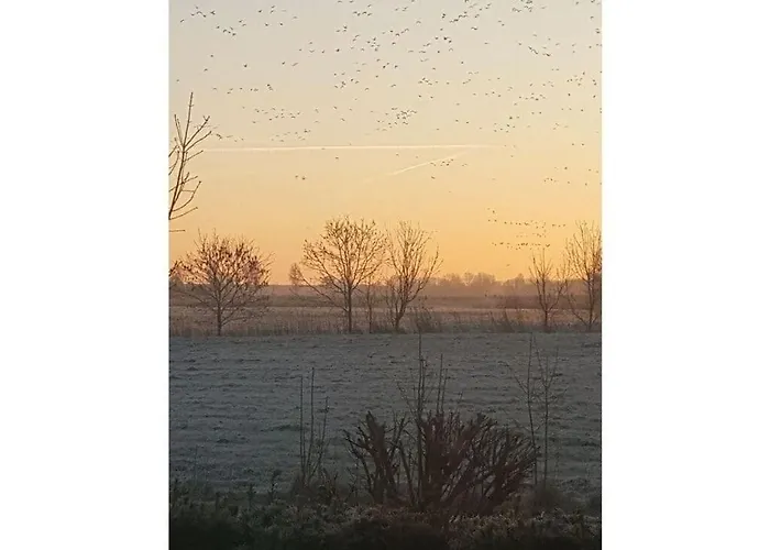 Σπίτι διακοπών Tillmann Comfortable Burhave