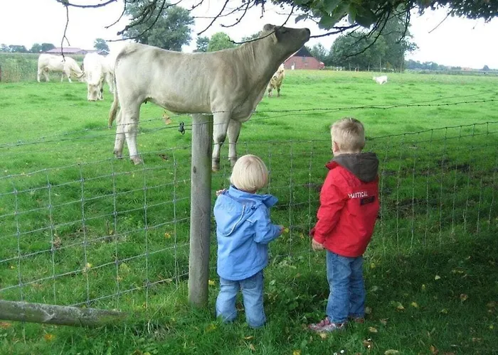 Tillmann Comfortable Burhave